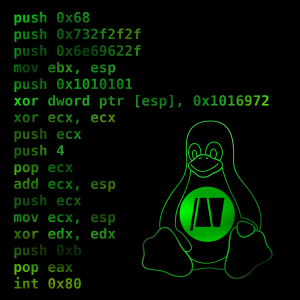 assembly language